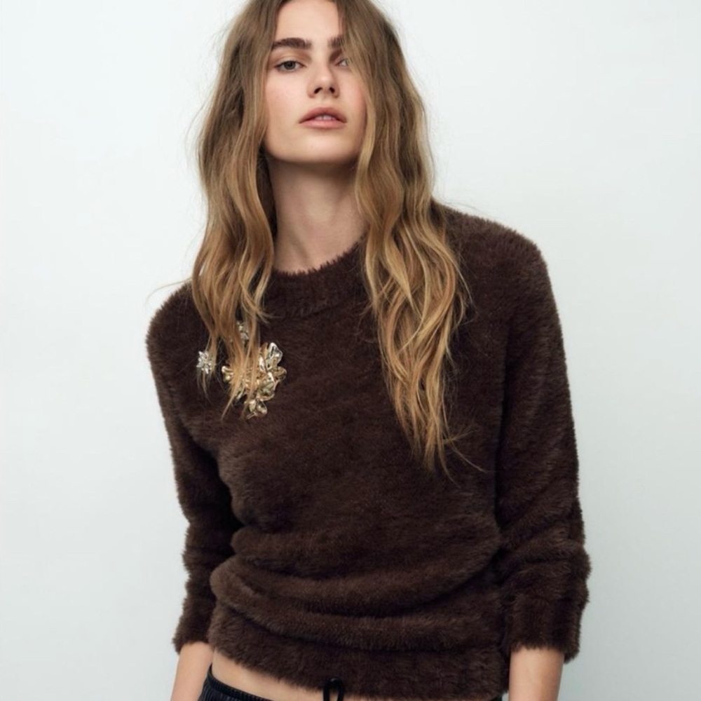 Zara Embellished Fuzzy Sweater - Picture 2 of 6
